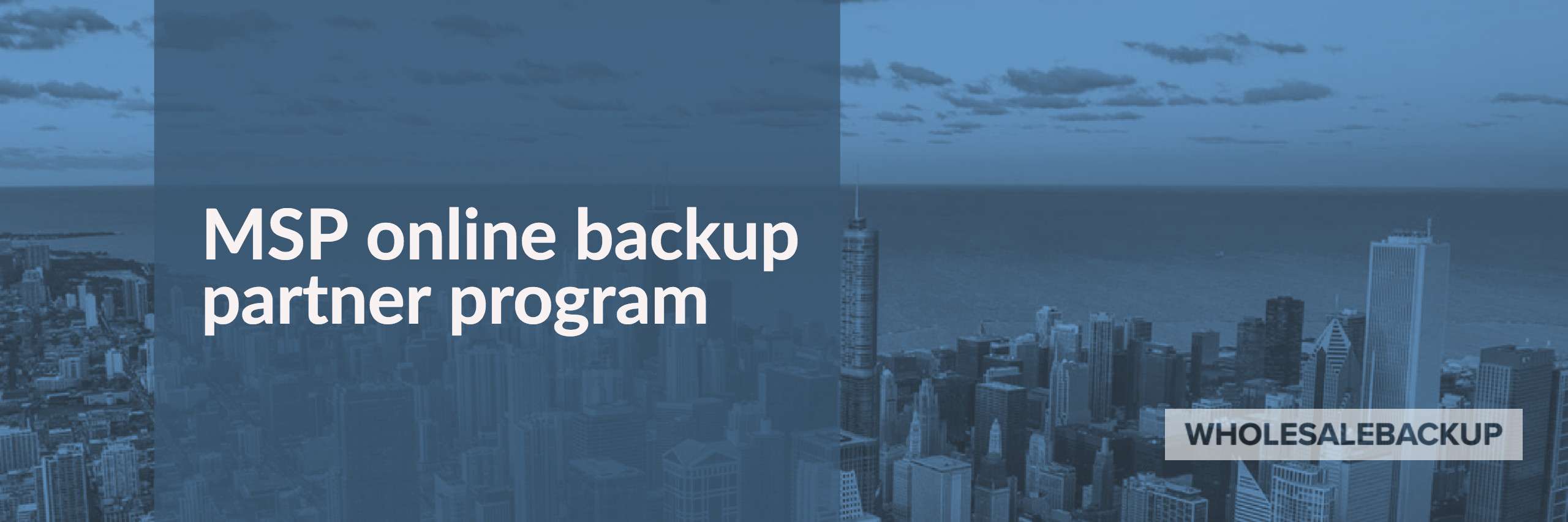 msp online backup partner program